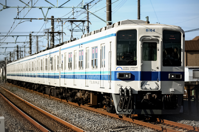 bysakawagawamania