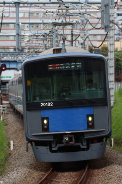 byT6
