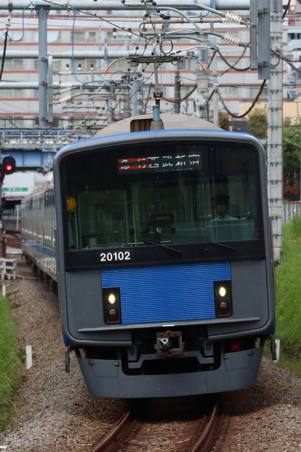 byT6