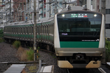 JR東日本E233系ハエ116編成を恵比寿駅で撮影した画像