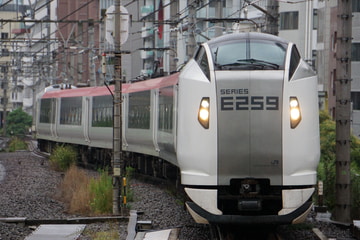 JR東日本E259系クラNe017編成を恵比寿駅で撮影した画像