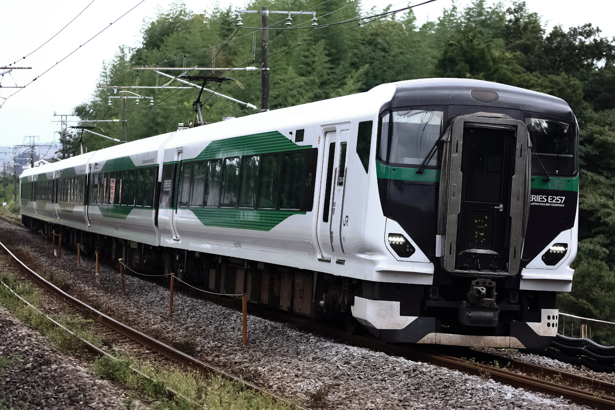 JR東日本 大宮総合車両センター東大宮センター E257系 OM-52編成
