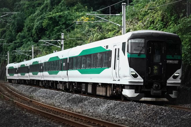 bysakawagawamania