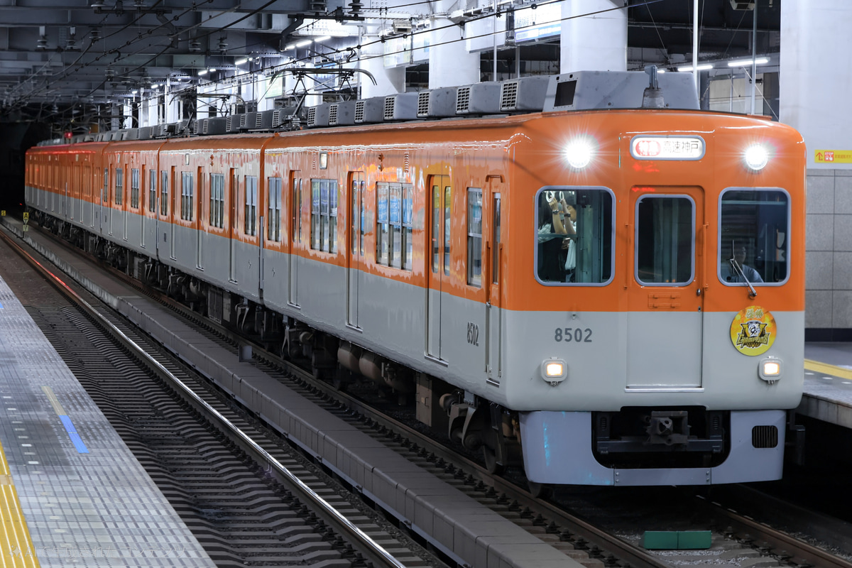 阪神電気鉄道 尼崎車庫 8000系 8523