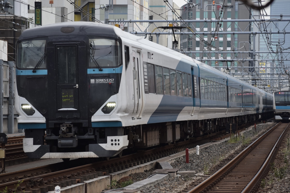 JR東日本 大宮総合車両センター東大宮センター E257系 オオNC-31編成
