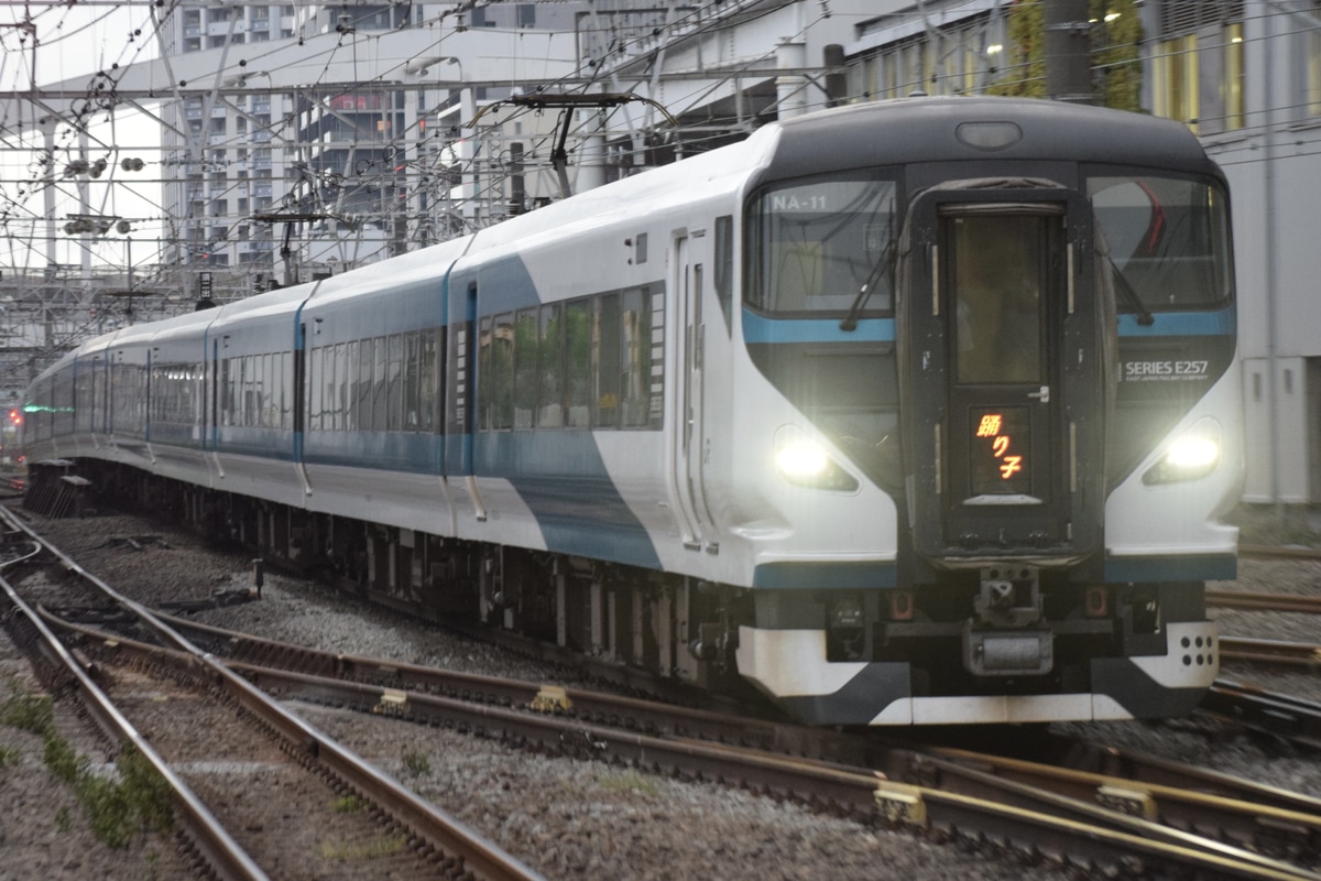 JR東日本 大宮総合車両センター東大宮センター E257系 オオNA-11編成