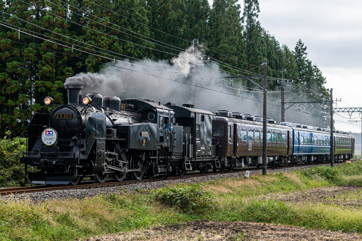 東武鉄道 下今市機関区 C11 207