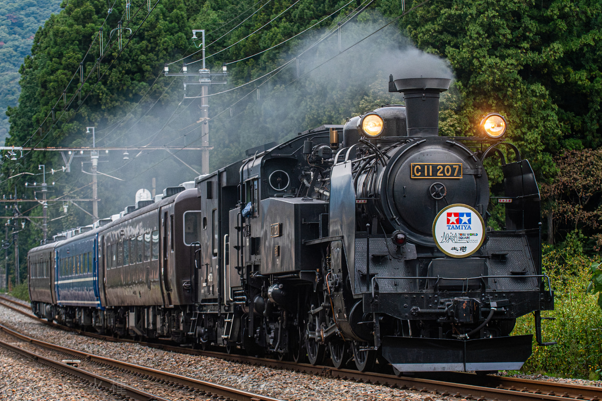 東武鉄道 下今市機関区 C11 207