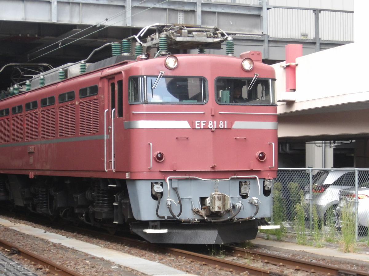 JR東日本 尾久車両センター EF81 81
