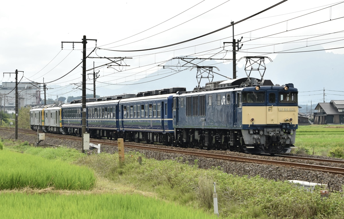 JR東日本 新潟車両センター EF64 1031