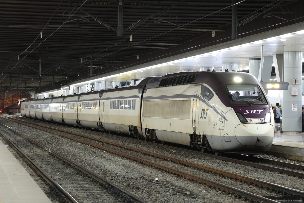 その他（該当する会社がない場合はこれを選んでください）  130000系 309編成