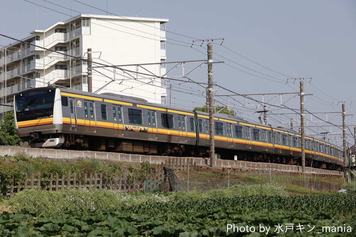 JR東日本 鎌倉車両センター中原支所 E233系 N1編成