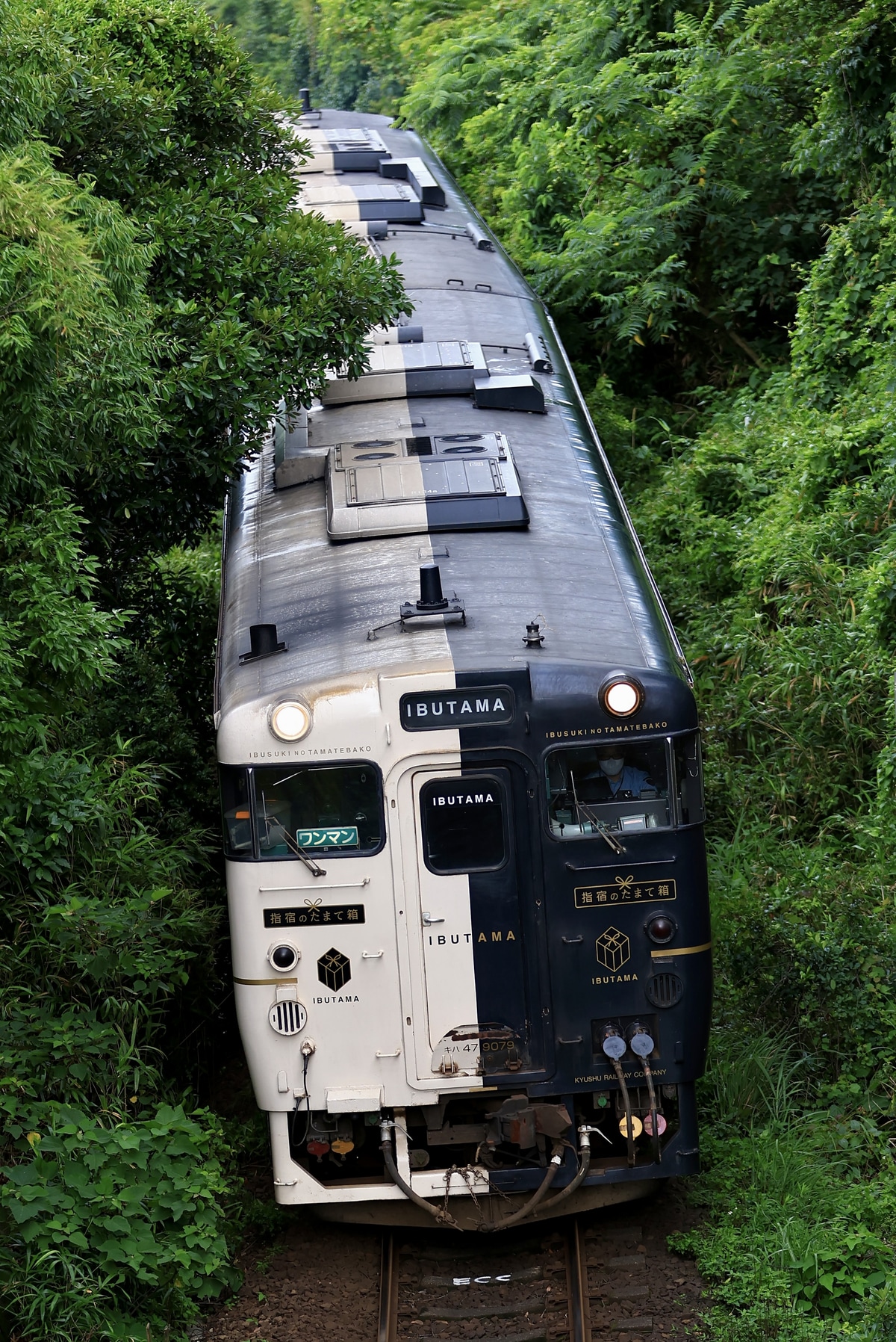JR九州 鹿児島総合鉄道部鹿児島車両センター キハ47 9079