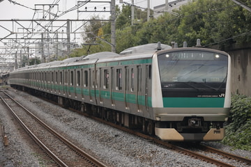 JR東日本E233系ハエ121編成を十条～板橋間で撮影した画像