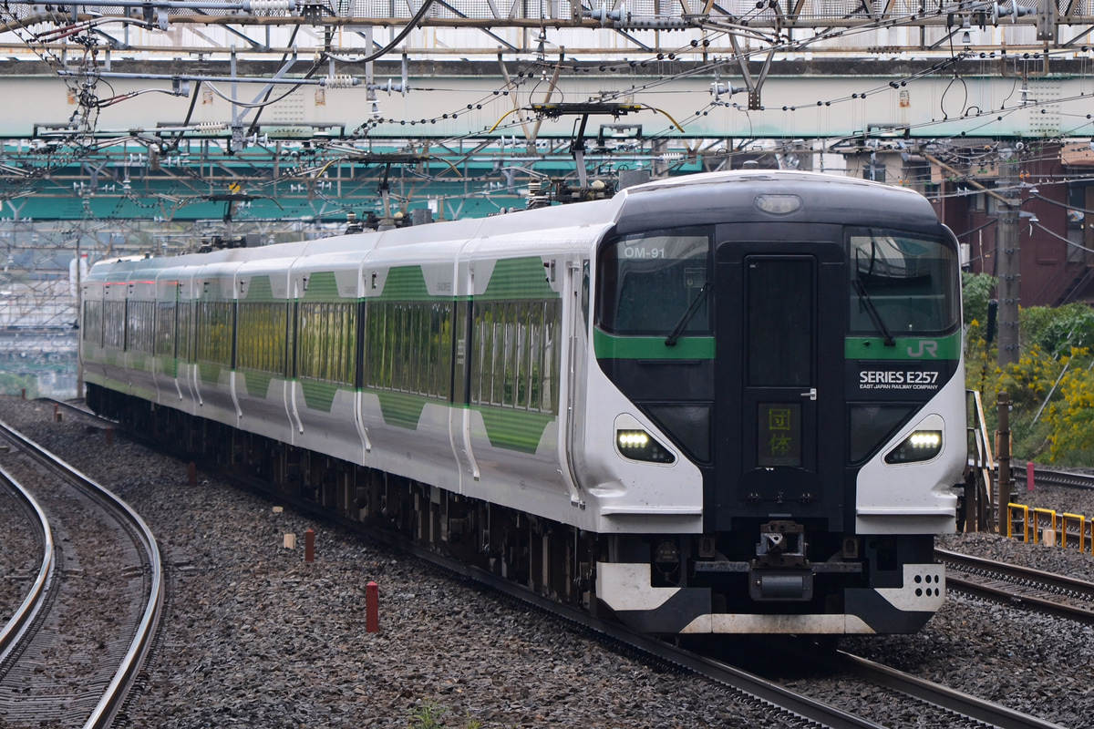 JR東日本 大宮総合車両センター東大宮センター E257系 オオOM-91編成
