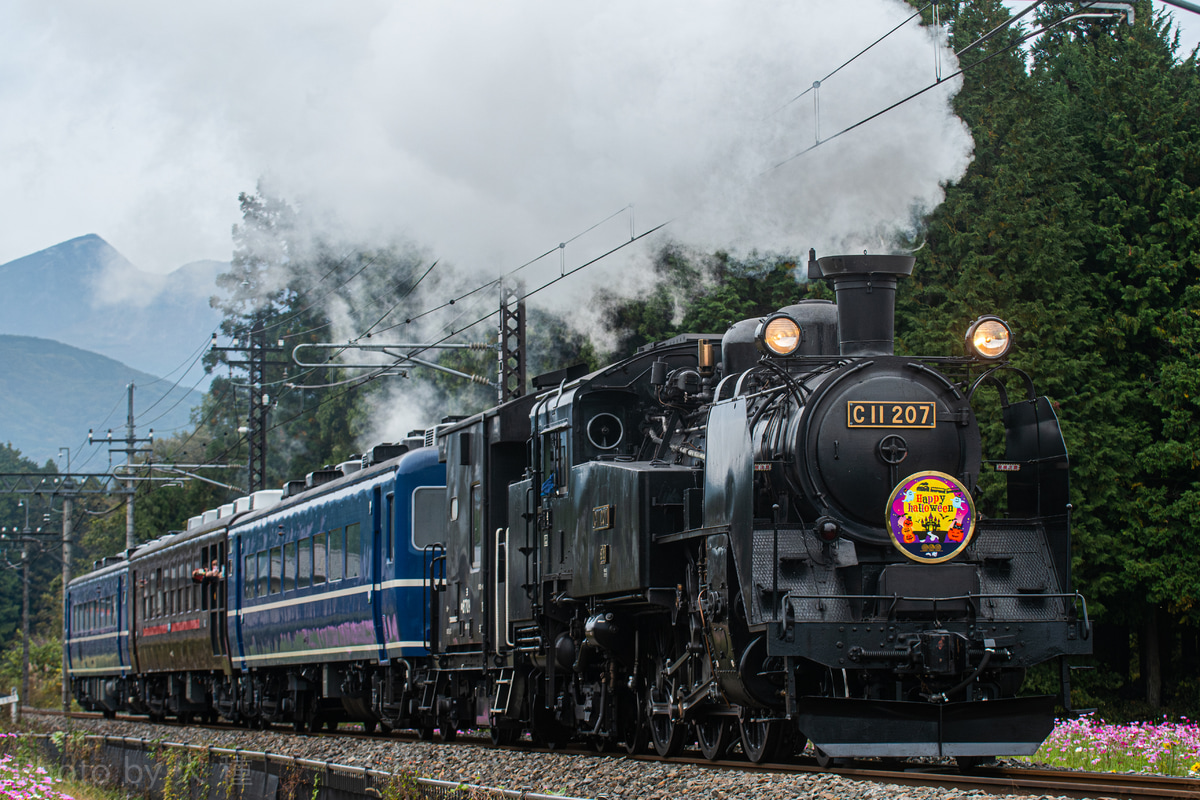 東武鉄道 下今市機関区 C11 207