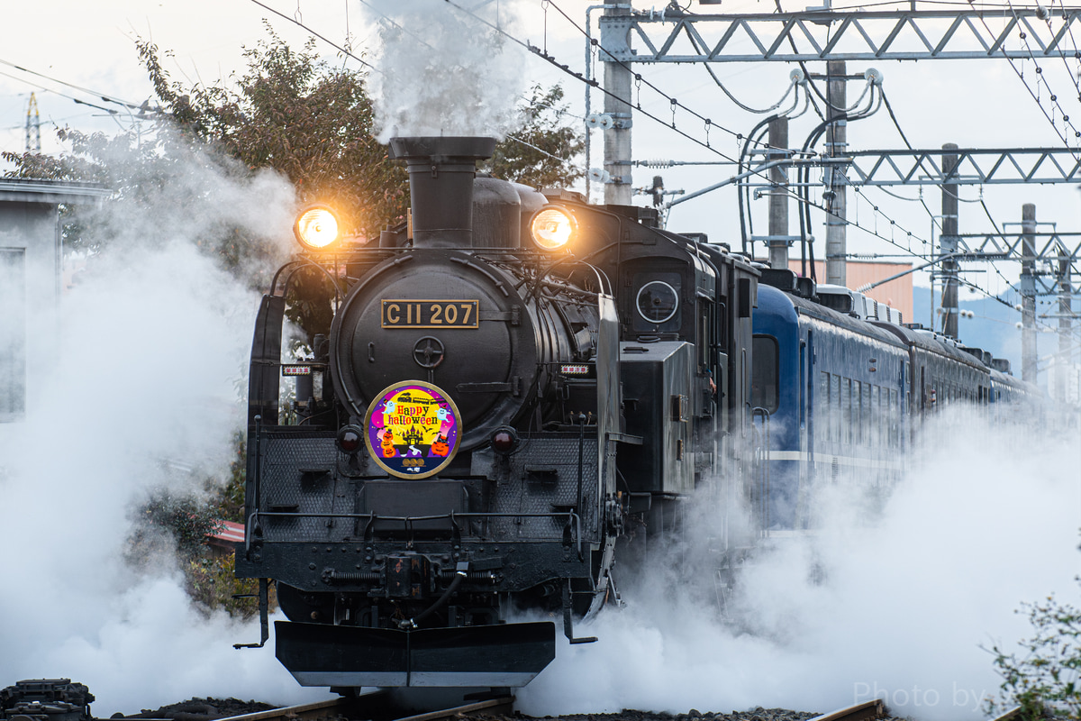 東武鉄道 下今市機関区 C11 207