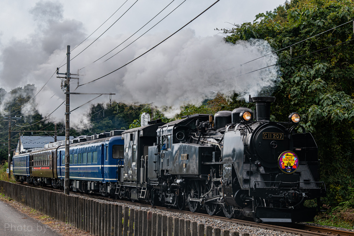 東武鉄道 下今市機関区 C11 207