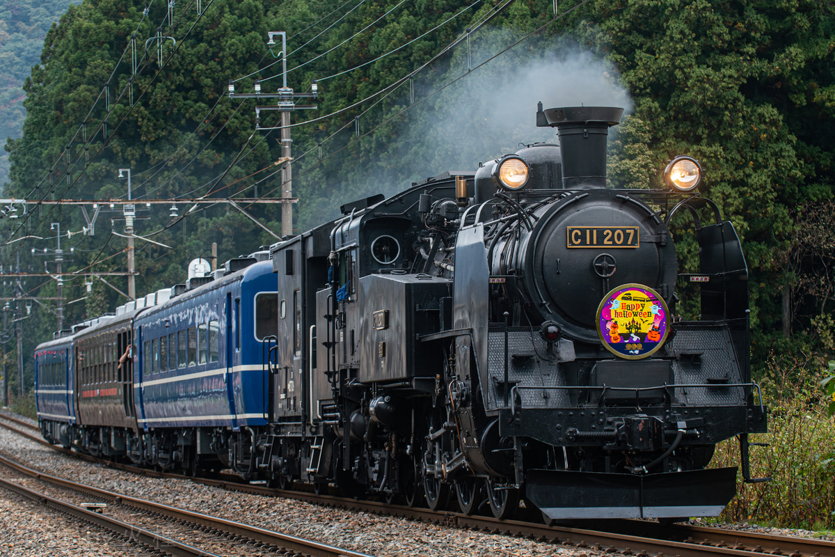 東武鉄道 下今市機関区 C11 207