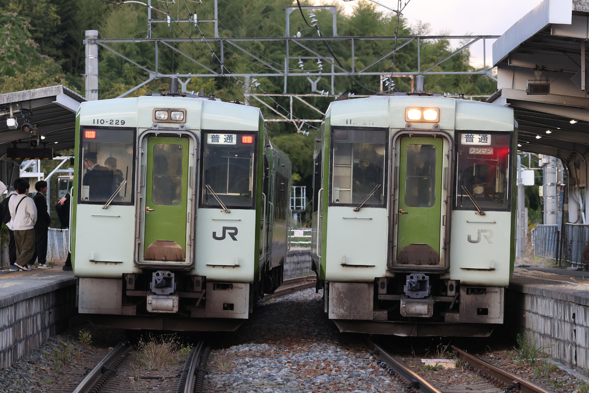 JR東日本  キハ110系 