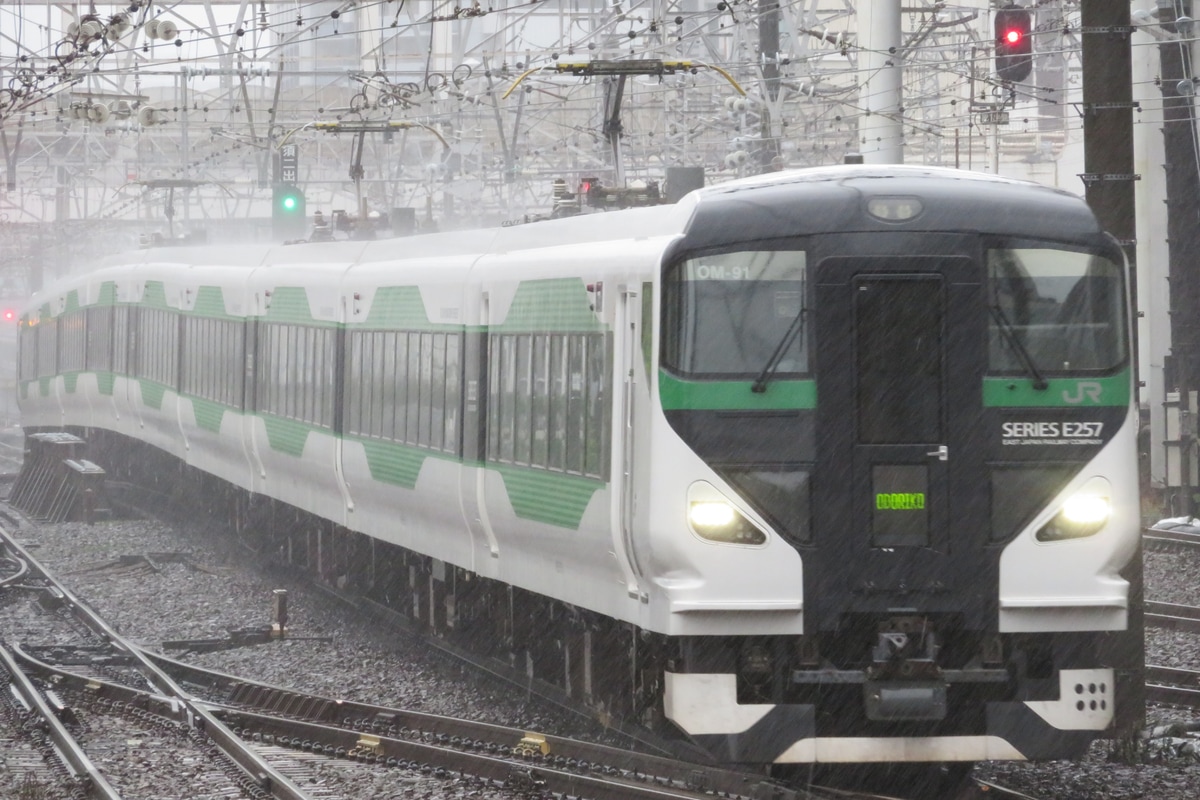 JR東日本 大宮総合車両センター東大宮センター E257系 オオOM-91編成