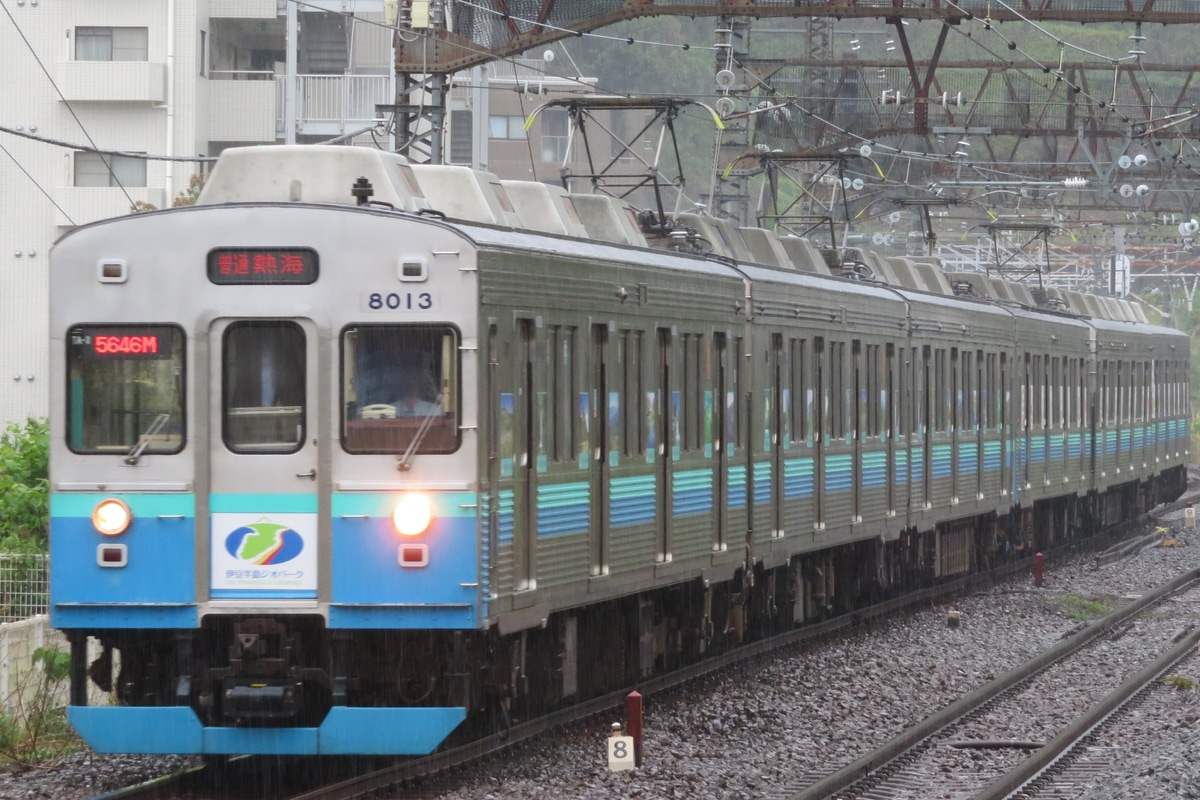 伊豆急行 伊豆高原電車区 8000系 TA3編成