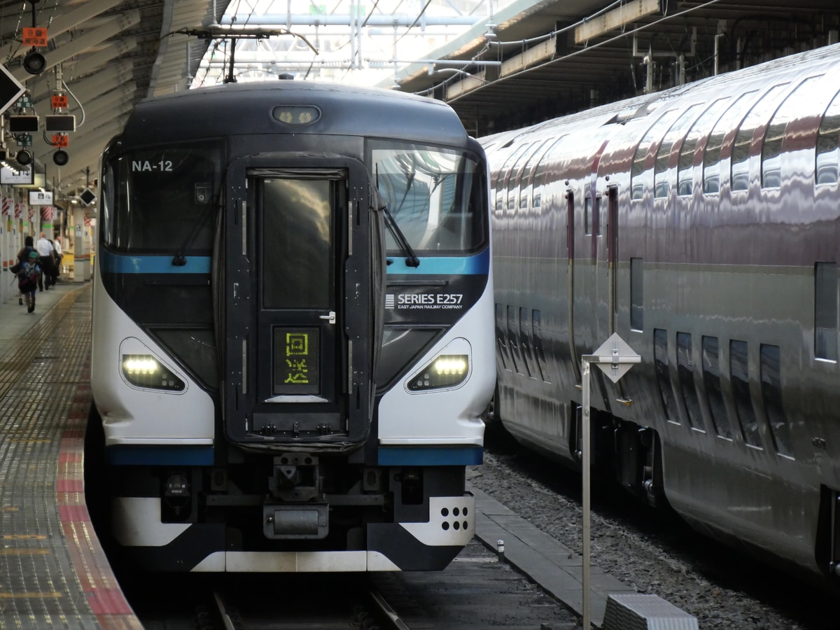 JR東日本 大宮総合車両センター 東大宮センター E257系 NA-12編成