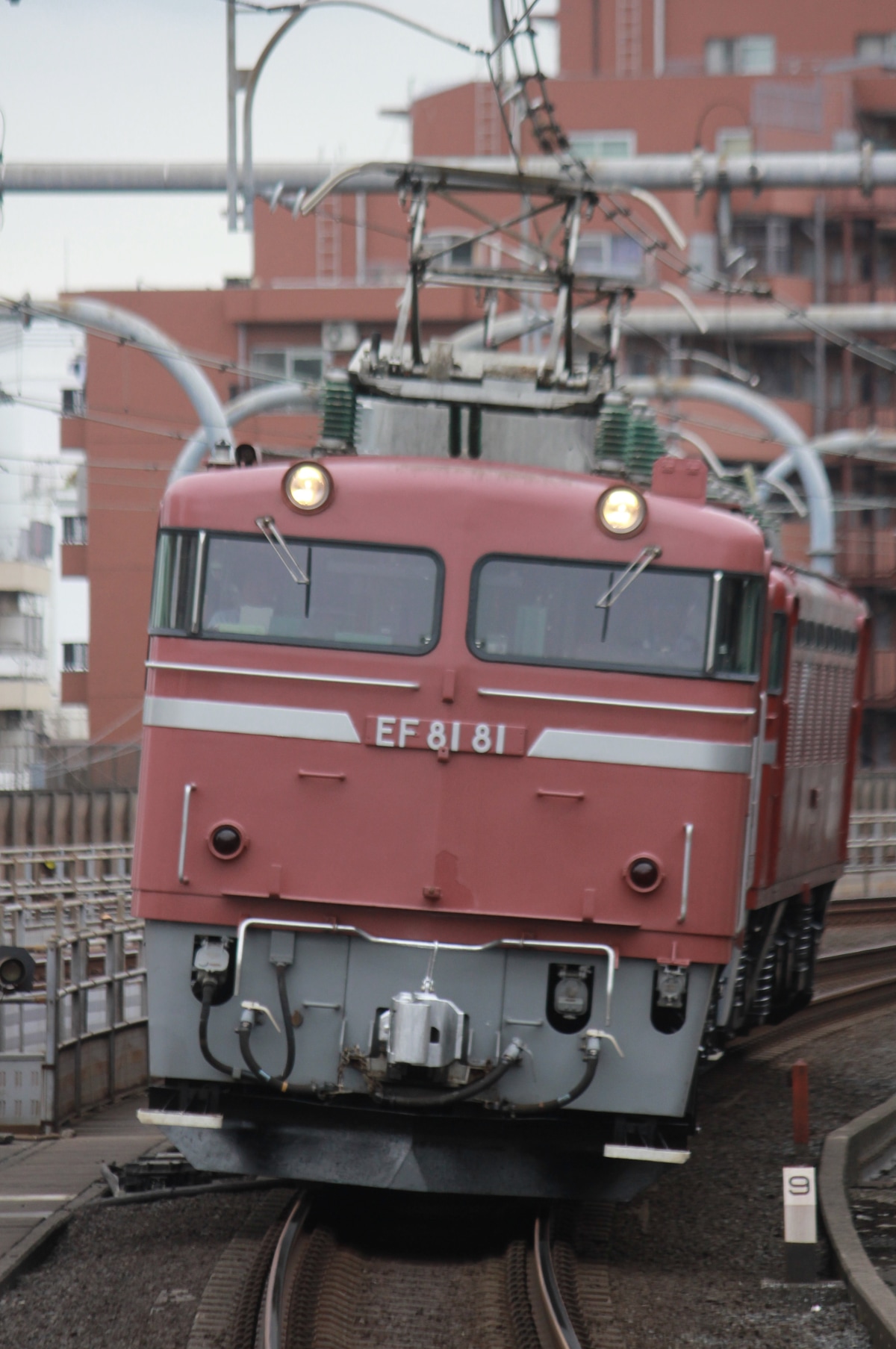 JR東日本 尾久車両センター EF81 81