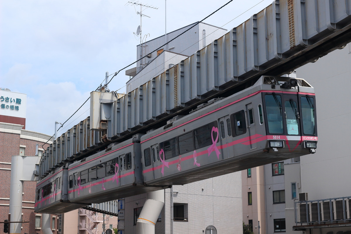 湘南モノレール 深沢車庫 5000系 5613F