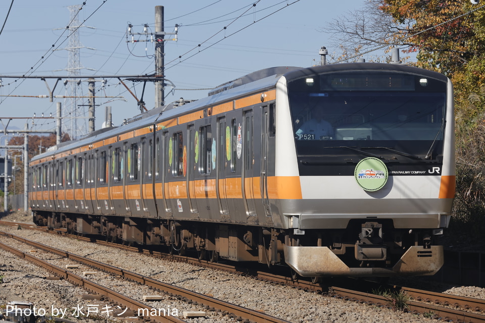 JR東E233系トタP521編成<br class="br-sp" />(P521編成)の写真