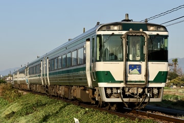  系 撮影者:Muchiko