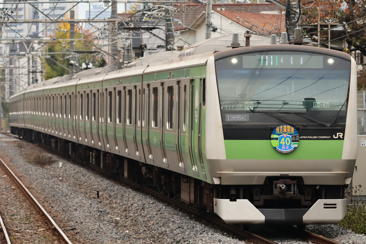 JR東日本 川越車両センター E233系 ハエ117編成