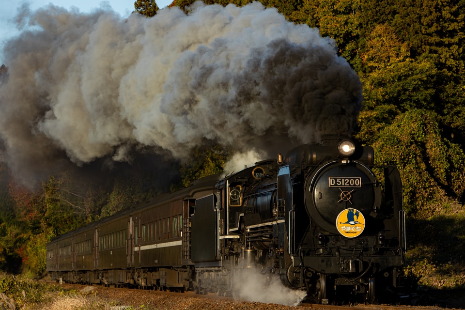 JR西D51形D51-200の写真