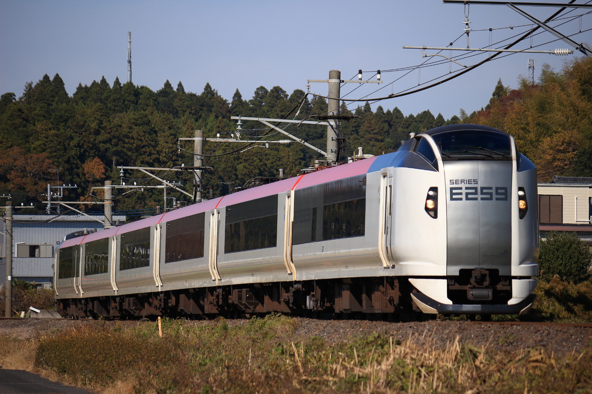 JR東日本 鎌倉車両センター本所 E259系 Ne007編成