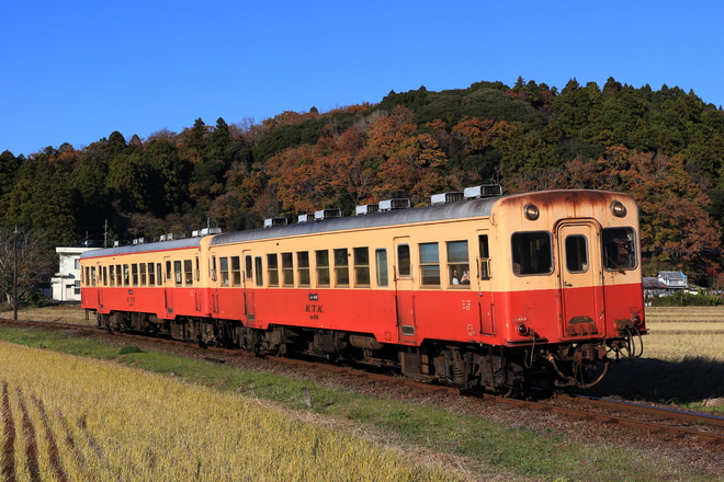 五井機関区キハ200214を上総鶴舞～上総久保間で撮影した写真