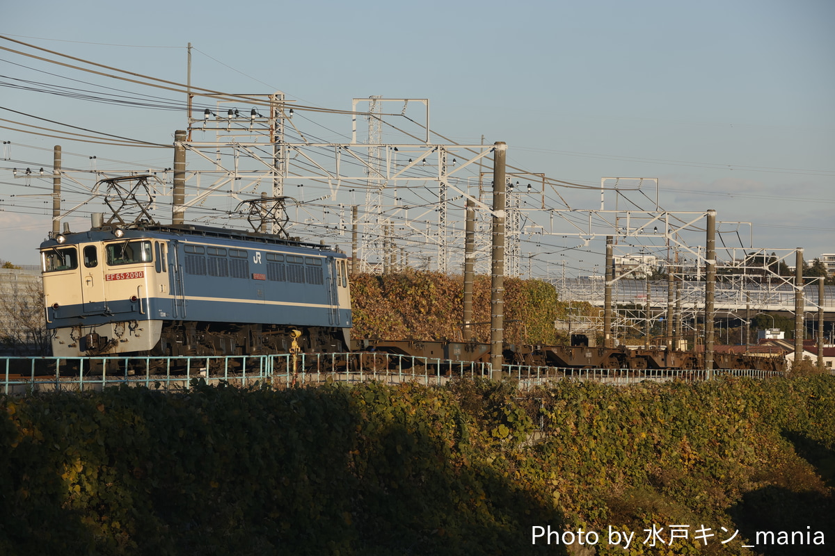 JR貨物 新鶴見機関区 EF65 2090
