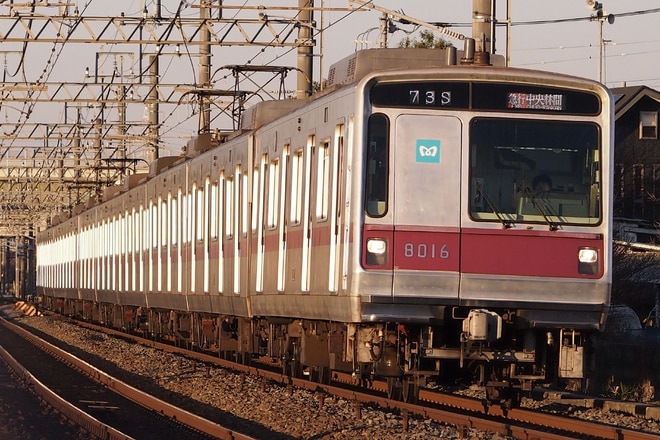 鷺沼検車区8000系8116Fを杉戸高野台～幸手間で撮影した写真