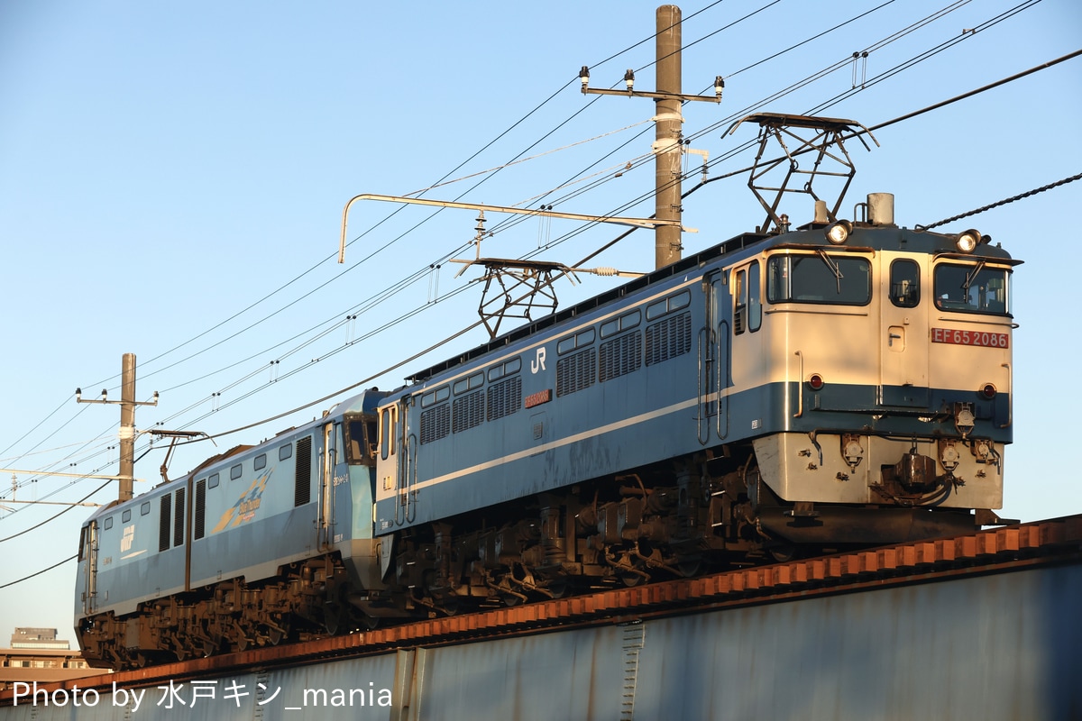 JR貨物 新鶴見機関区 EF65 2086