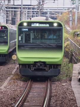 byレーさん(カメです)