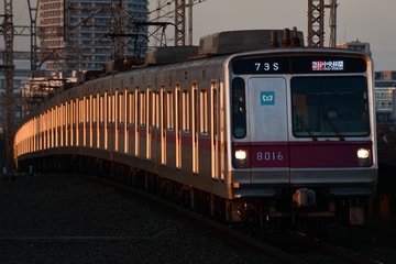 東京メトロ8000系8116Fを新越谷駅で撮影した画像