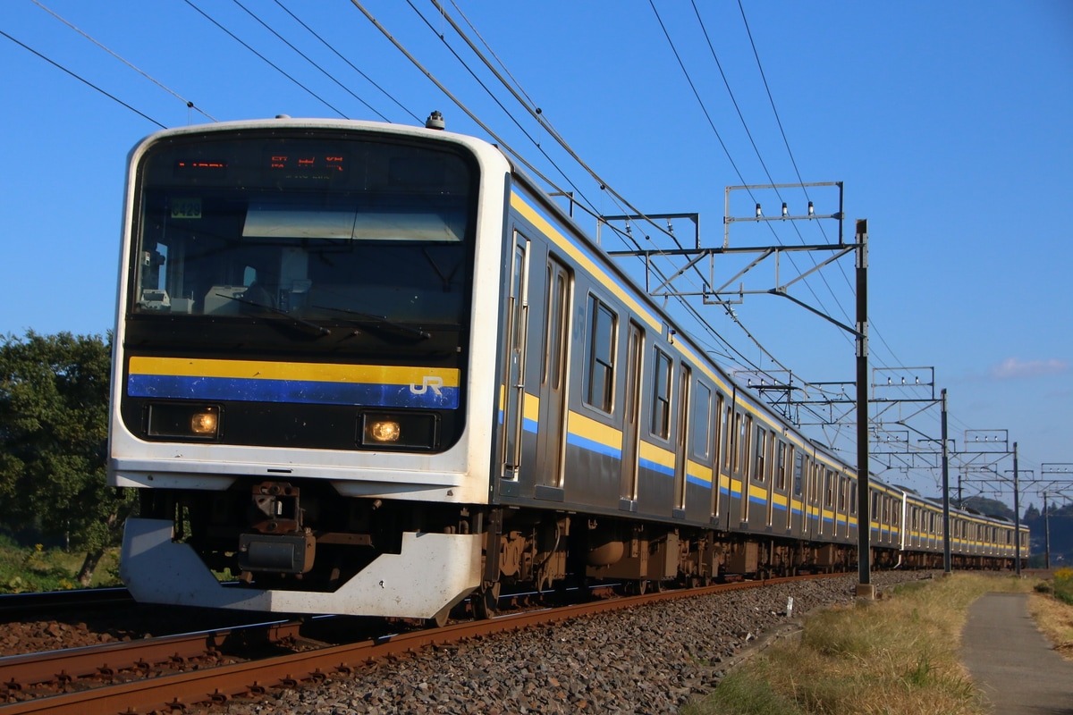 JR東日本 幕張車両センター 209系 マリC429編成