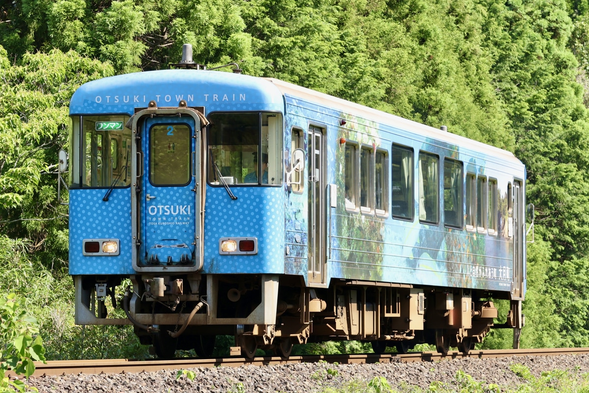 土佐くろしお鉄道 中村車両基地 TKT8000形 2