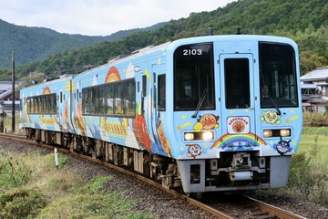  系 撮影者:Muchiko