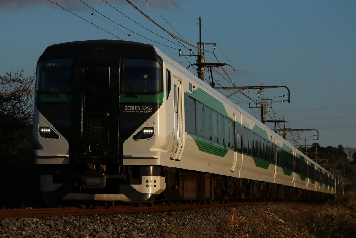 JR東日本 大宮総合車両センター東大宮センター E257系 オオOM-92編成