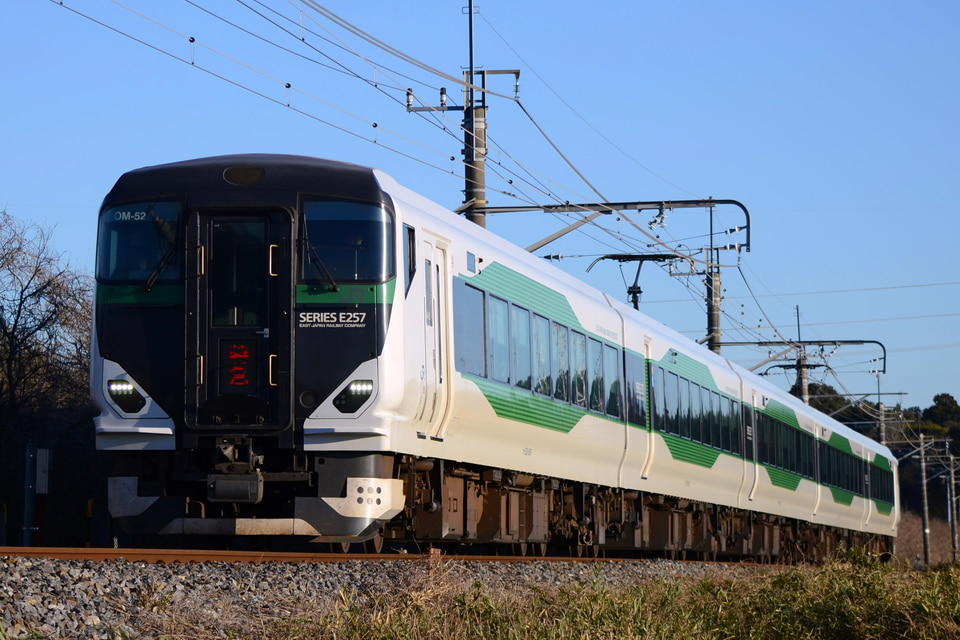 JR東E257系オオOM-52編成<br class="br-sp" />(オオOM-52)(OM52編成)(OM-52編成)の写真