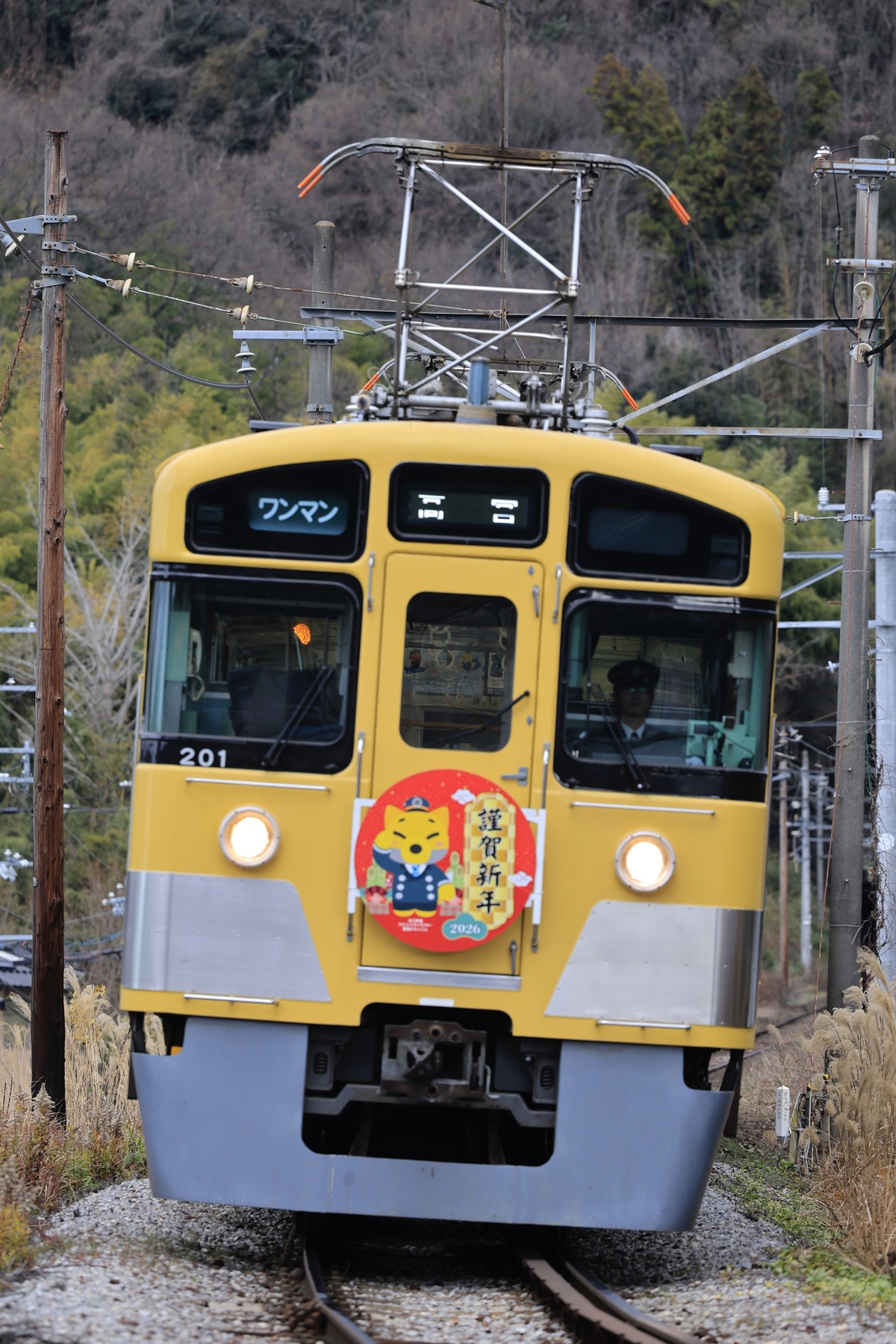 近江鉄道  200形(元西武2000系) 201F(元2451F)