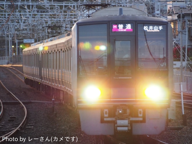 byレーさん(カメです)