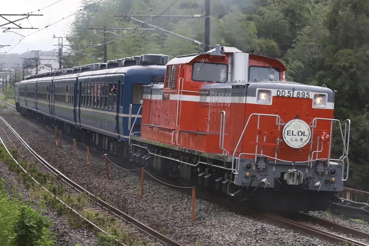 JR東日本 群馬車両センター DD51 895