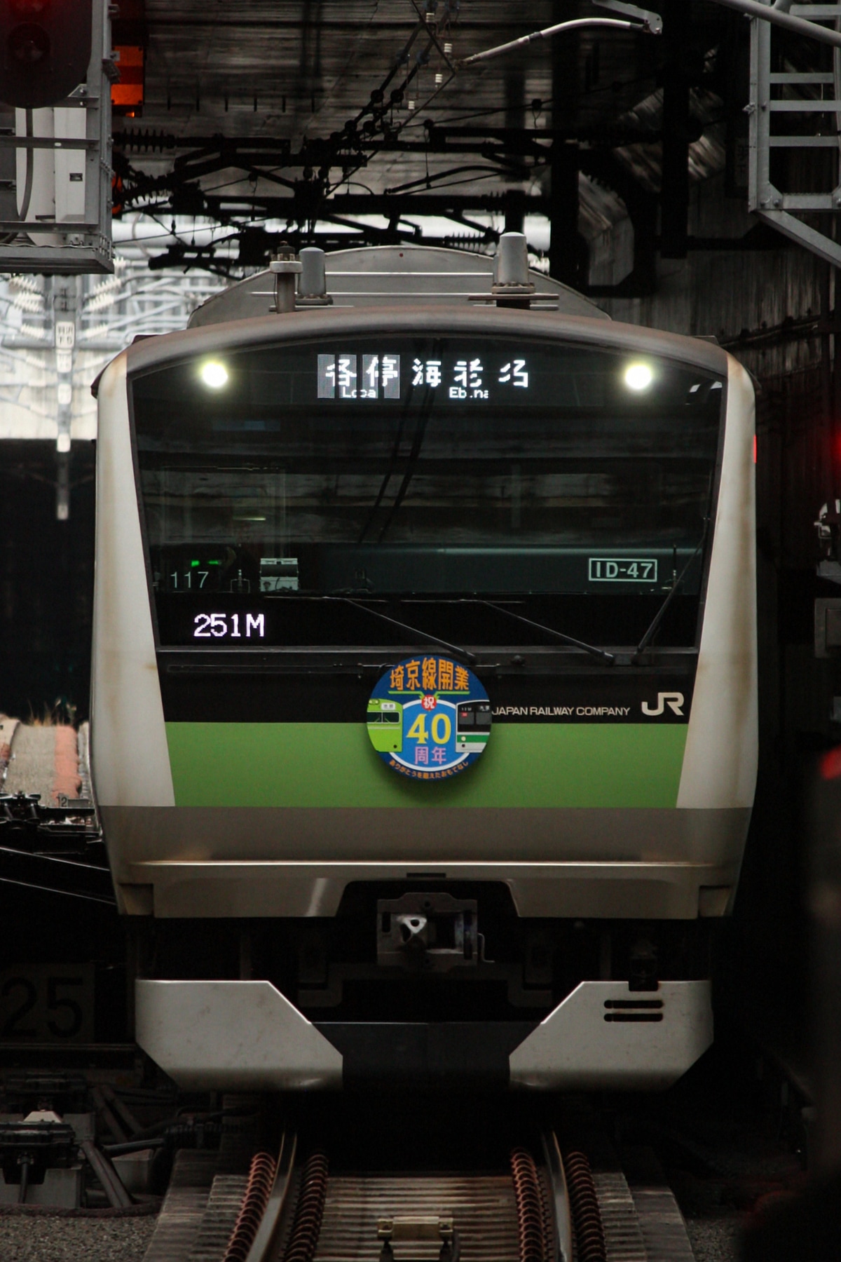 JR東日本 川越車両センター E233系 ハエ117編成