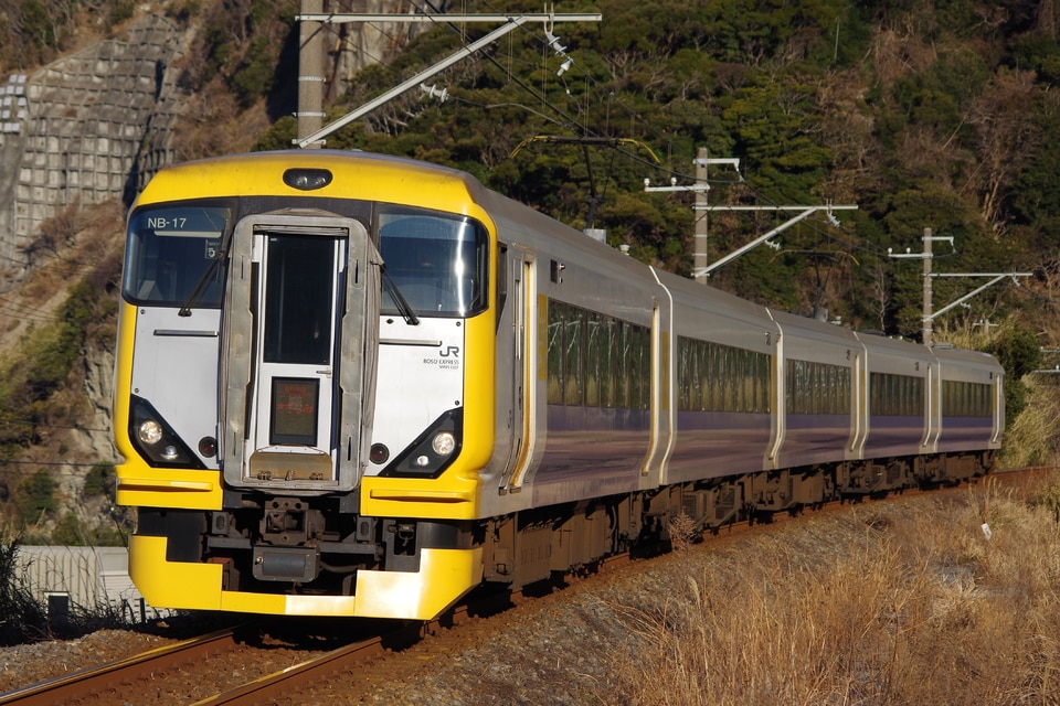 JR東E257系マリNB-17編成<br class="br-sp" />(NB-17編成)(マリNB-17)の写真